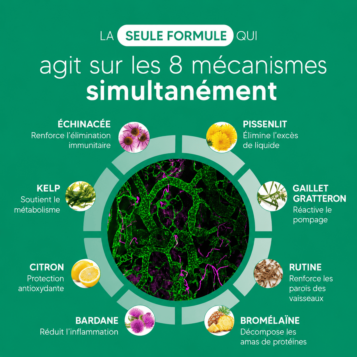 Nervia™ - Gélules de Drainage Lymphatique · Transformation totale en 60 jours