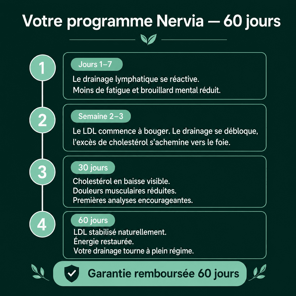 Nervia™ — Gélules de Drainage Lymphatique · Transformation totale en 60 jours !