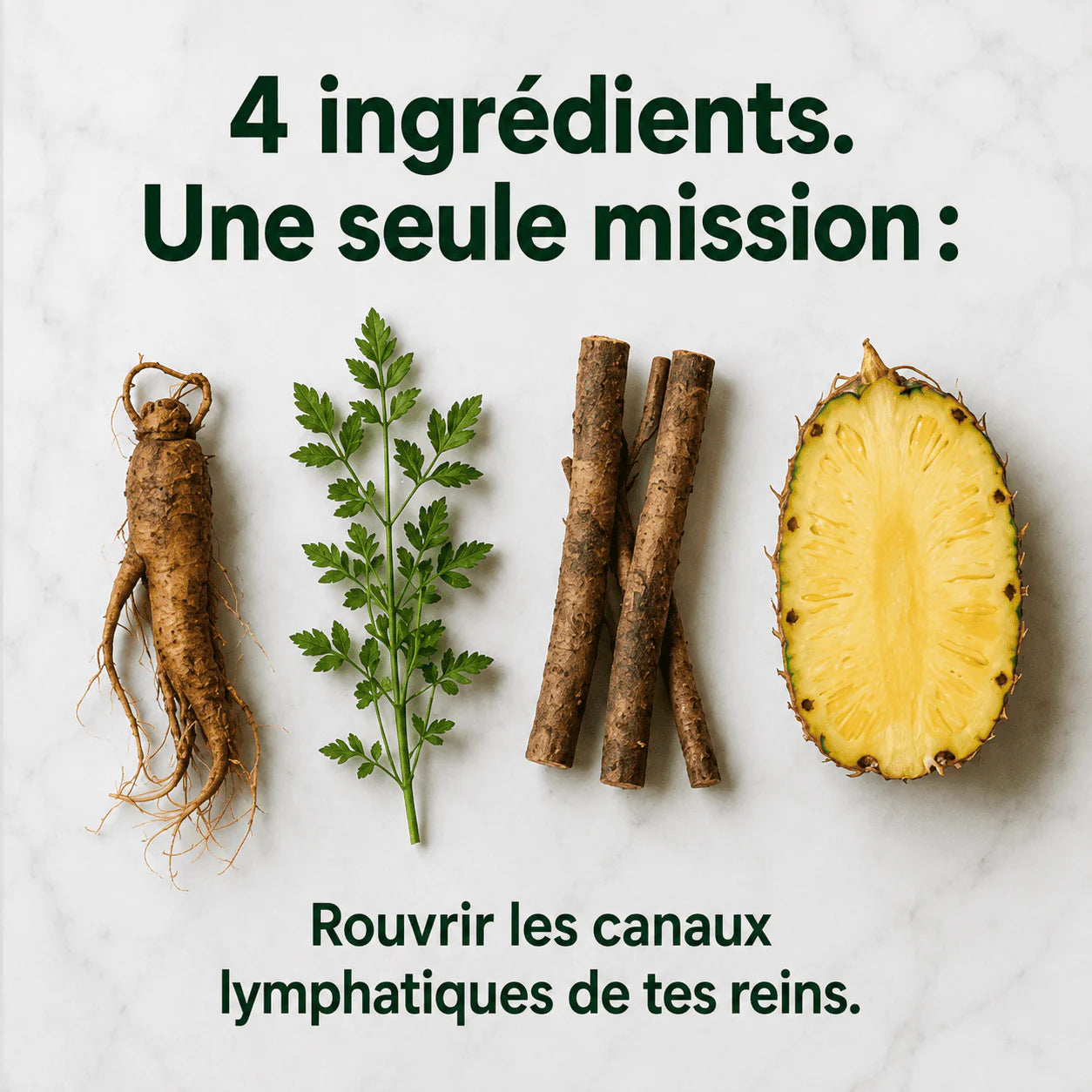 Nervia™ Drainage — Débouchez le réseau lymphatique de vos reins